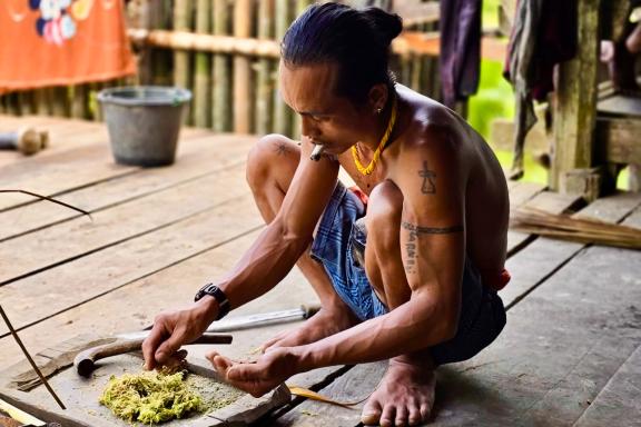 Rencontre et préparation du poison par Aman Jossa hommes-fleurs de Siberut